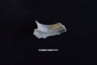 陶罐藏品圖，第2張